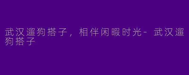 武汉遛狗搭子，相伴闲暇时光-武汉遛狗搭子