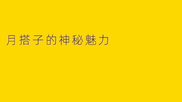 月搭子的神秘魅力