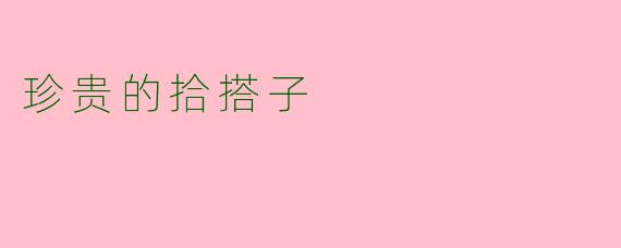 珍贵的拾搭子
