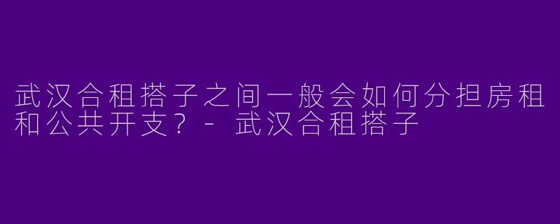 武汉合租搭子之间一般会如何分担房租和公共开支?