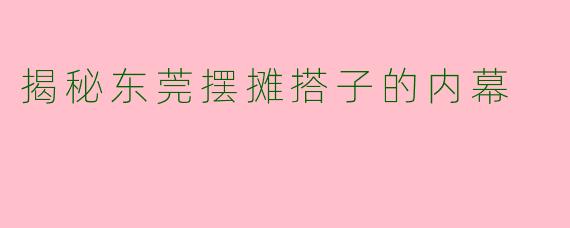 揭秘东莞摆摊搭子的内幕
