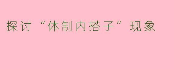 探讨“体制内搭子”现象