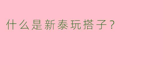 什么是新泰玩搭子?