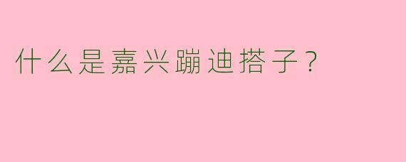什么是嘉兴蹦迪搭子？