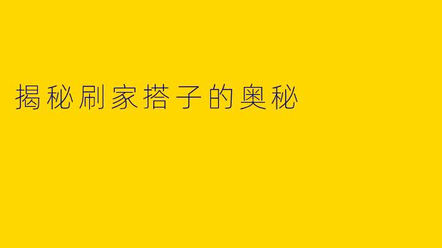 揭秘刷家搭子的奥秘