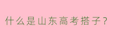 什么是山东高考搭子?