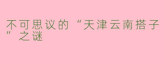 不可思议的“天津云南搭子”之谜