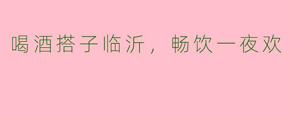 喝酒搭子临沂，畅饮一夜欢