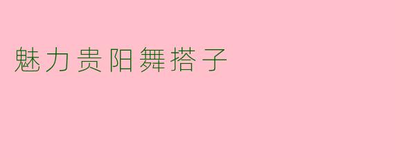 魅力贵阳舞搭子