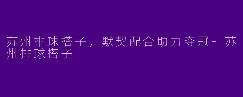 苏州排球搭子，默契配合助力夺冠-苏州排球搭子