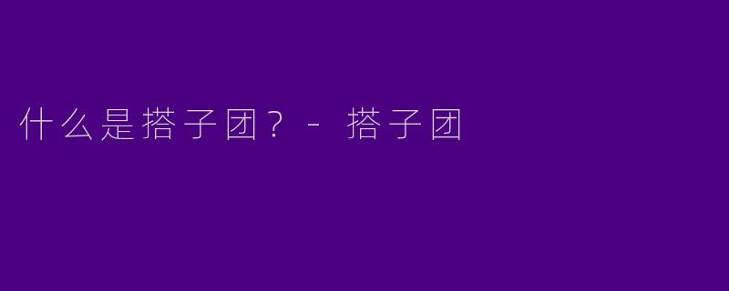 什么是搭子团?