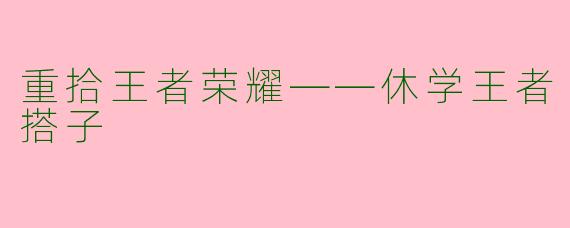 重拾王者荣耀——休学王者搭子
