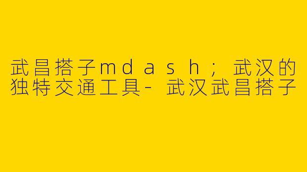 武昌搭子mdash;武汉的独特交通工具