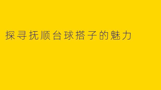 探寻抚顺台球搭子的魅力