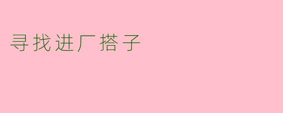 寻找进厂搭子