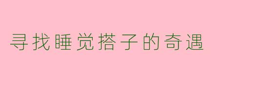寻找睡觉搭子的奇遇