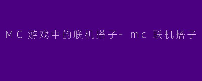 MC游戏中的联机搭子-mc联机搭子