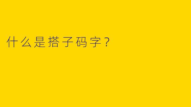 什么是搭子码字?