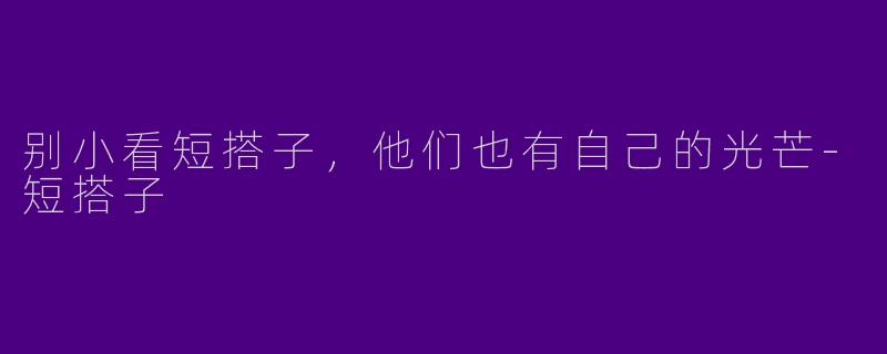 别小看短搭子，他们也有自己的光芒-短搭子