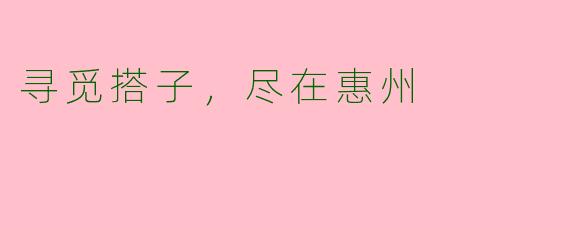 寻觅搭子，尽在惠州