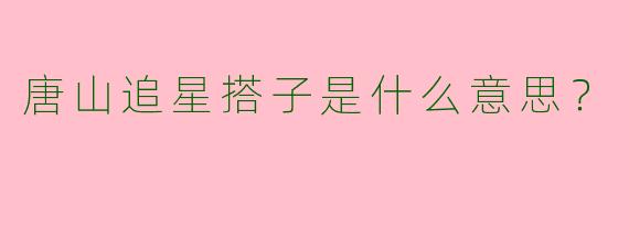 唐山追星搭子是什么意思?