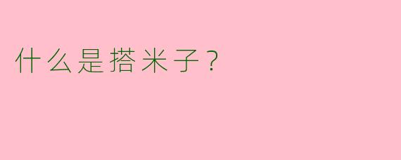 什么是搭米子？