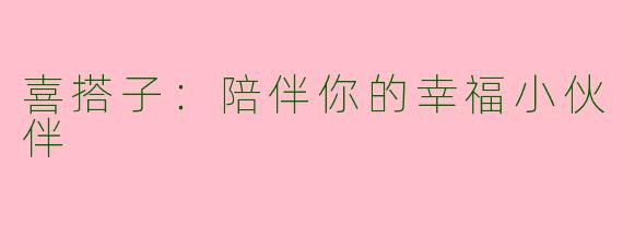 喜搭子：陪伴你的幸福小伙伴