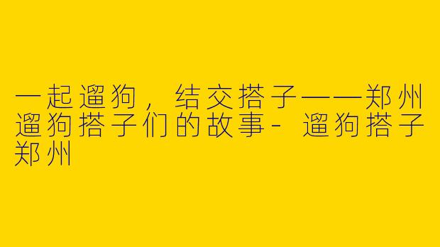 一起遛狗，结交搭子——郑州遛狗搭子们的故事-遛狗搭子郑州
