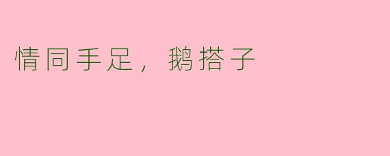 情同手足，鹅搭子