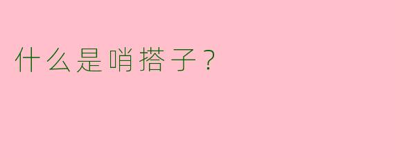 什么是哨搭子?