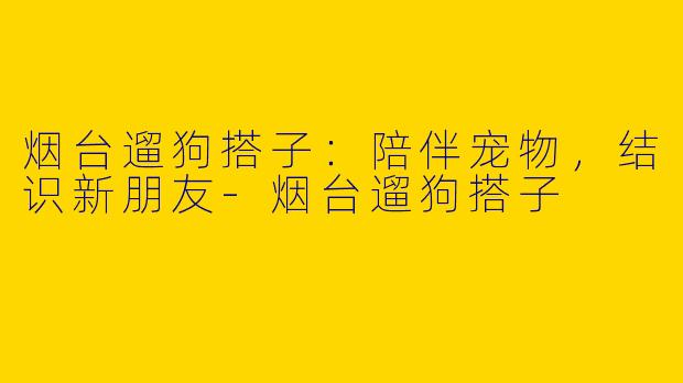 烟台遛狗搭子：陪伴宠物，结识新朋友