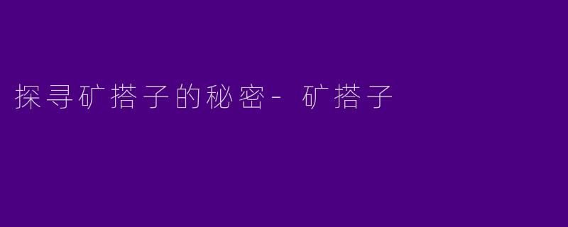 探寻矿搭子的秘密-矿搭子