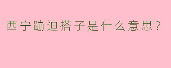 西宁蹦迪搭子是什么意思?