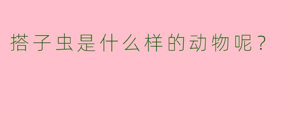 搭子虫是什么样的动物呢?