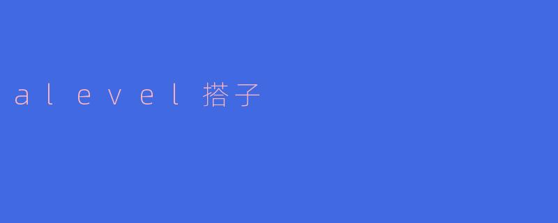 alevel搭子