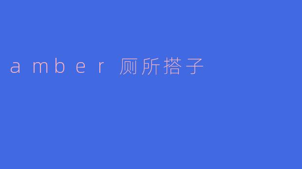 amber厕所搭子