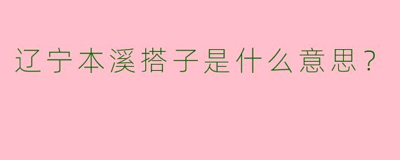辽宁本溪搭子是什么意思?