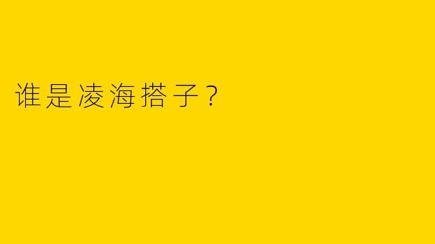 谁是凌海搭子？