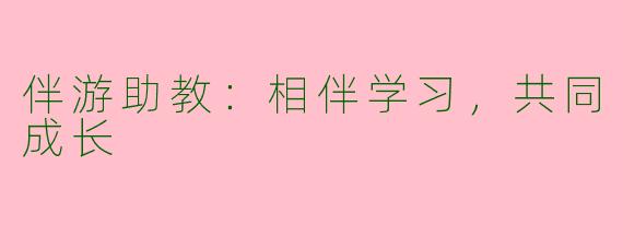 伴游助教：相伴学习，共同成长