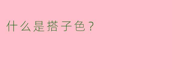 什么是搭子色？