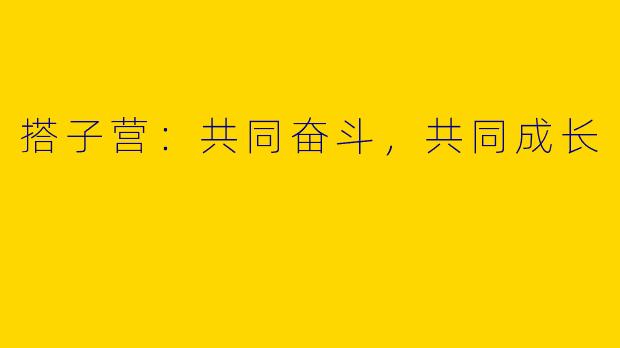 搭子营：共同奋斗，共同成长