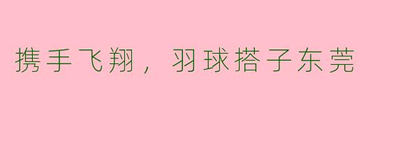 携手飞翔，羽球搭子东莞