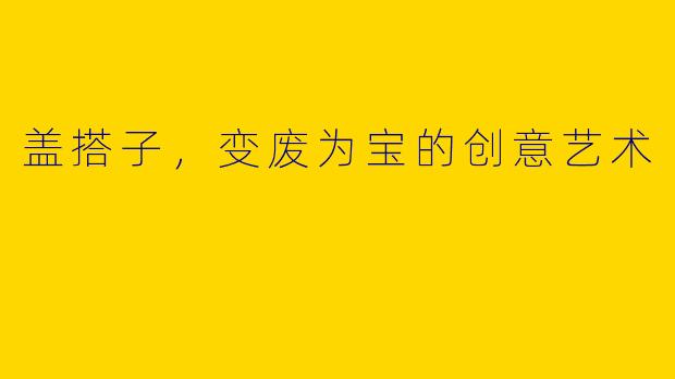盖搭子，变废为宝的创意艺术