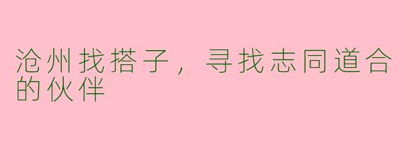 沧州找搭子，寻找志同道合的伙伴