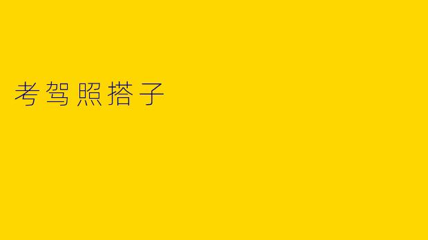 考驾照搭子