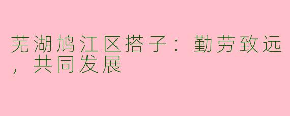 芜湖鸠江区搭子：勤劳致远，共同发展