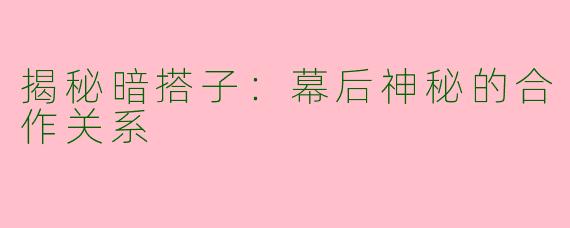 揭秘暗搭子：幕后神秘的合作关系