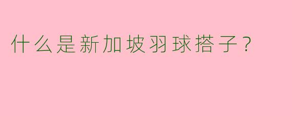 什么是新加坡羽球搭子？