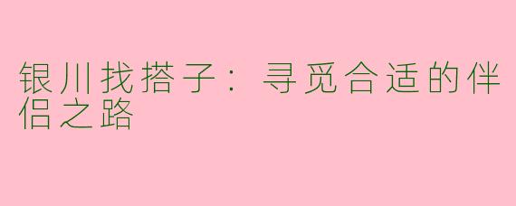 银川找搭子：寻觅合适的伴侣之路