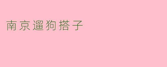 南京遛狗搭子